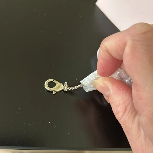 Kate Spade NWT Wing It Wicker Butterfly Coin Purse On A Chain - Picture 11 of 11